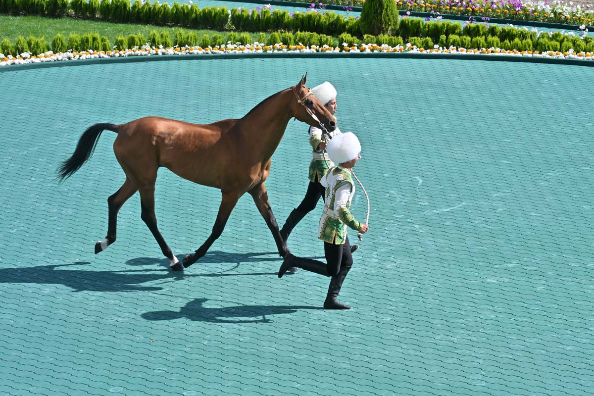 President of Turkmenistan took part in festivities on the occasion of the national holiday of the Turkmen horse
